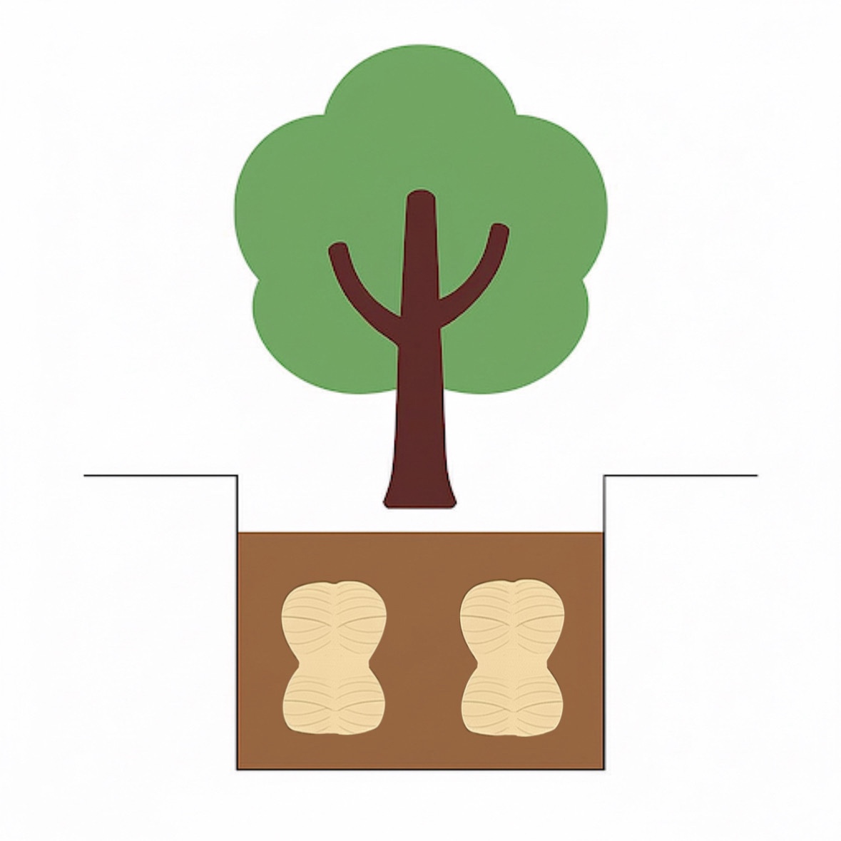 수목장 안치방법 상세도